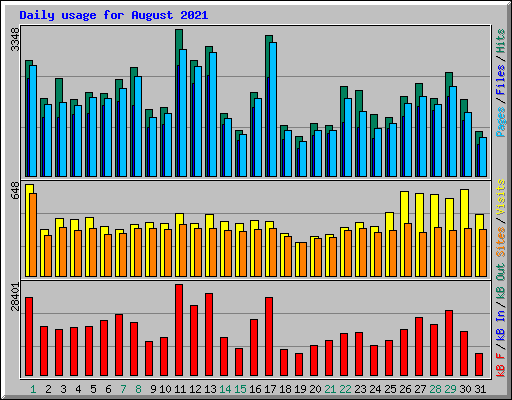 Daily usage for August 2021