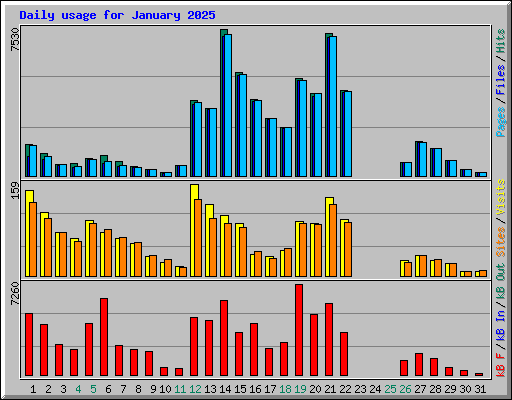 Daily usage for January 2025