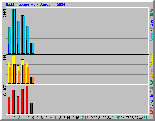 Daily usage for January 2026