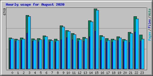 Hourly usage for August 2020