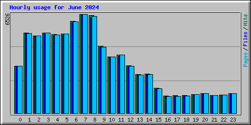 Hourly usage for June 2024