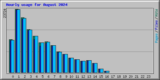 Hourly usage for August 2024
