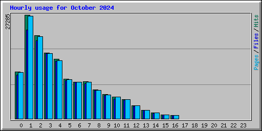 Hourly usage for October 2024