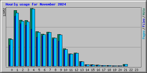 Hourly usage for November 2024
