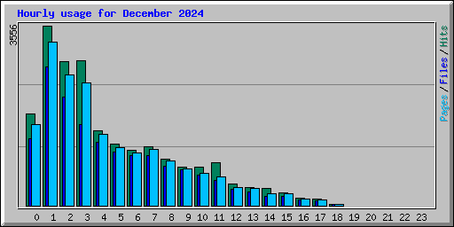 Hourly usage for December 2024