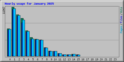 Hourly usage for January 2025