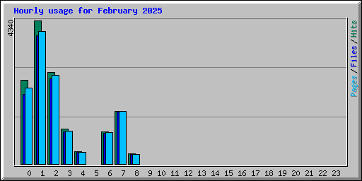 Hourly usage for February 2025