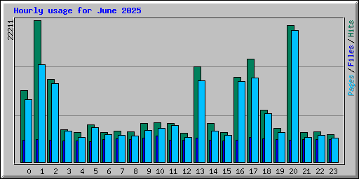Hourly usage for June 2025