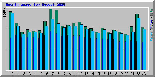 Hourly usage for August 2025