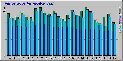 Hourly usage for October 2025