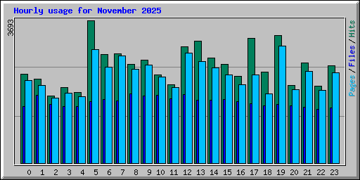 Hourly usage for November 2025