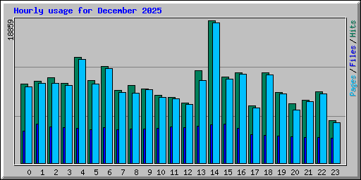 Hourly usage for December 2025
