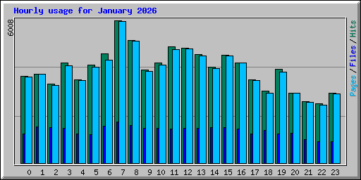 Hourly usage for January 2026